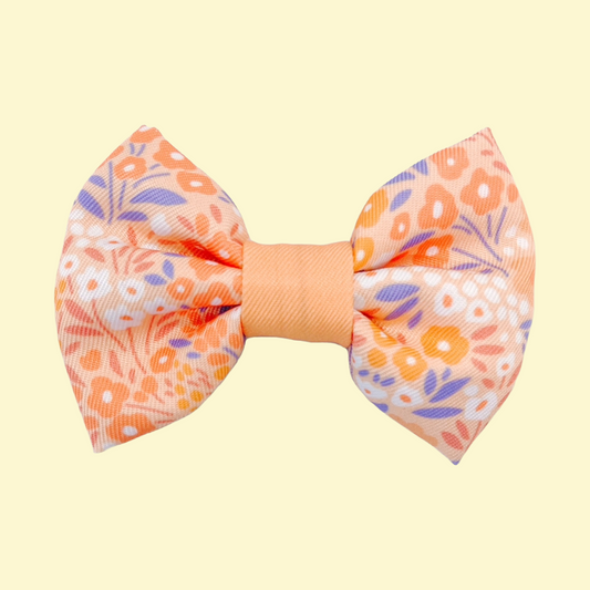 Strik Notting Hill Buttercup - Wyld Cub