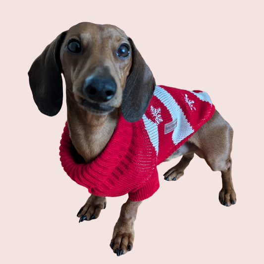 WOLTERS gebreide trui Frosty