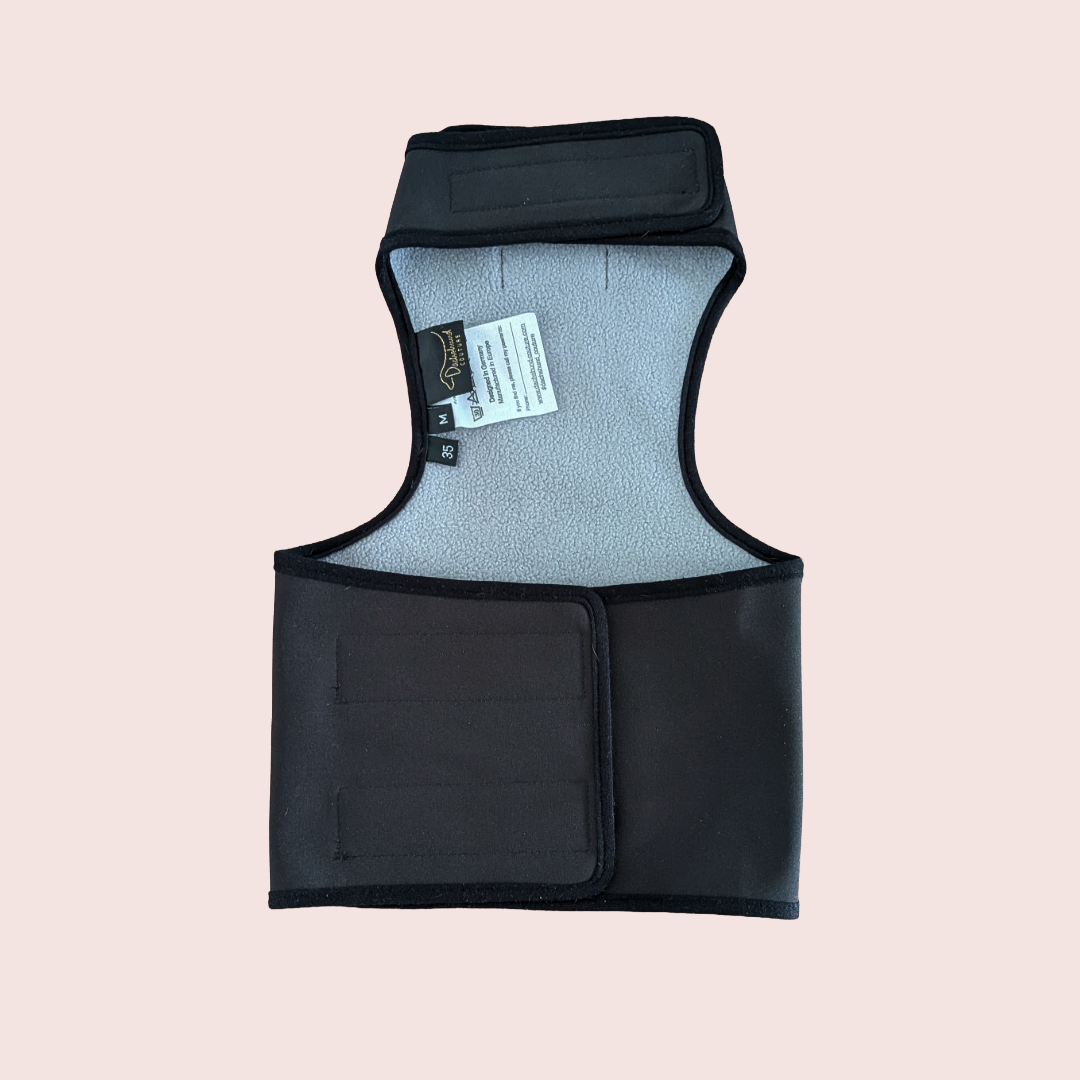 Teckel Softshell Chestie - Dachshund Couture