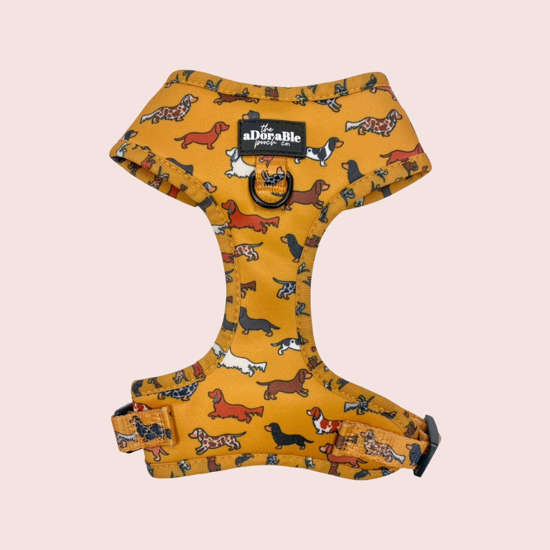 Dashing Dachshunds Harnas - The aDoraBle Pooch Company