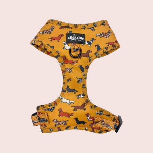 Dashing Dachshunds Harnas - The aDoraBle Pooch Company