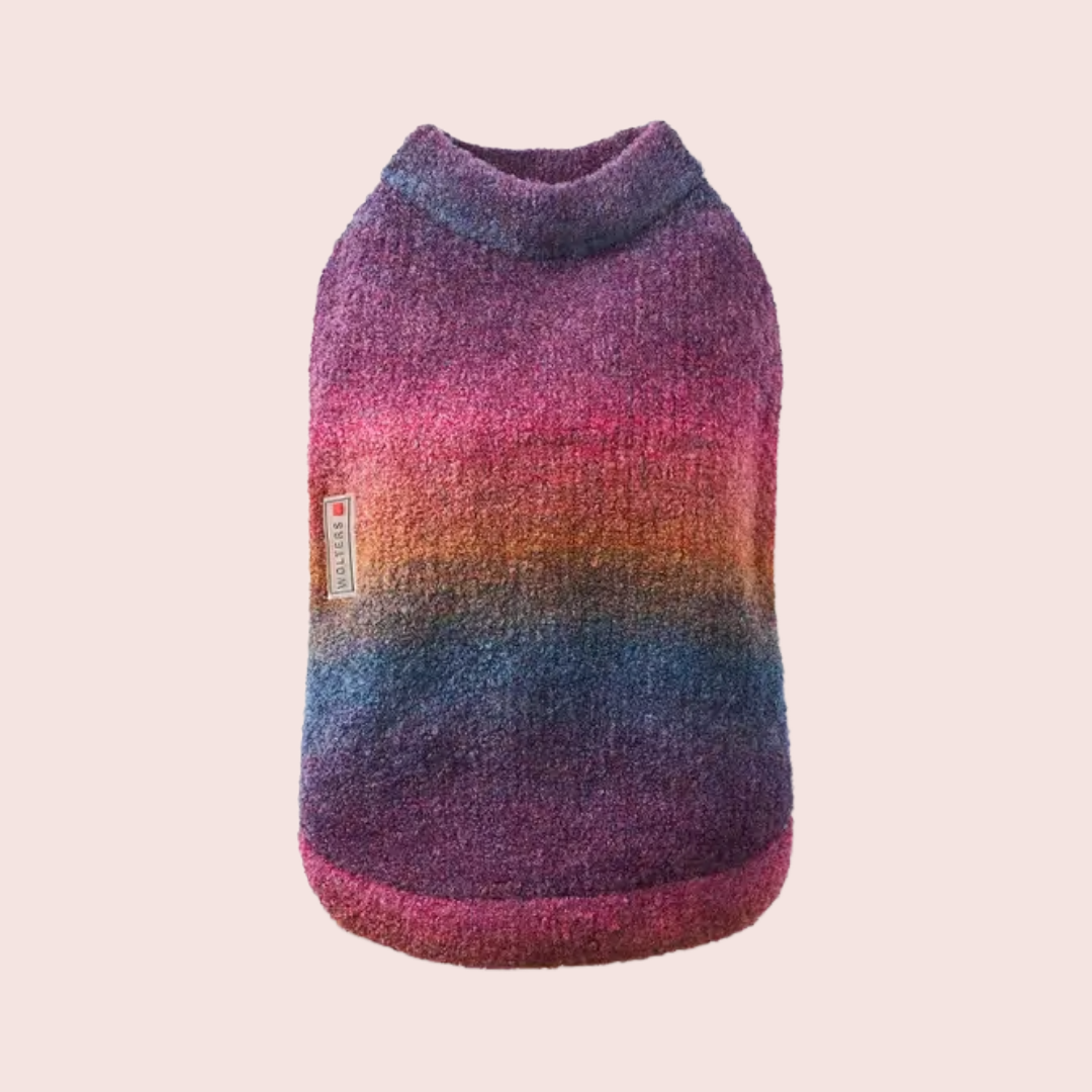 Gebreide Regenboog Trui - Wolters