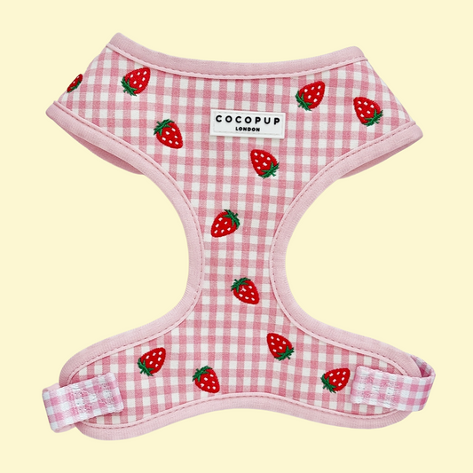 Harnas Strawberry Picnic Pup - Cocopup London