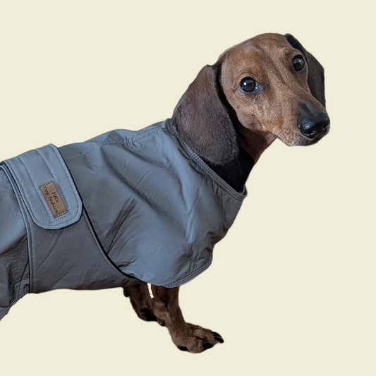 Tecky Jacket Reflective - Fifi's Dog Fashion