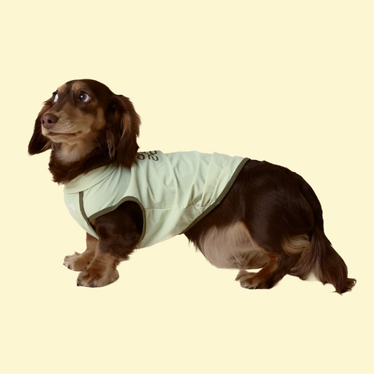 Verkoelend en zonwerend T-shirt - ZumiZumi