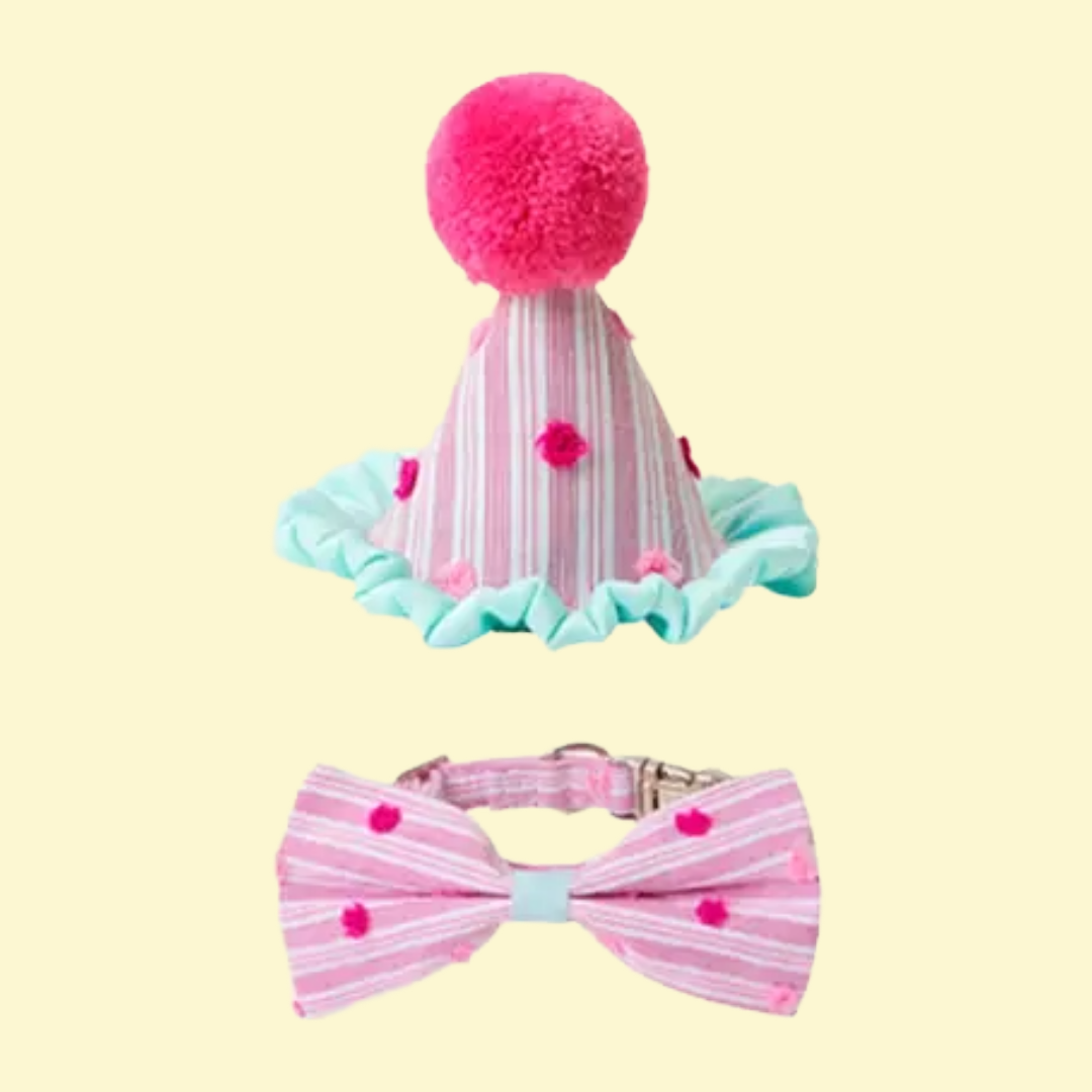 Feest Set - Likapaws