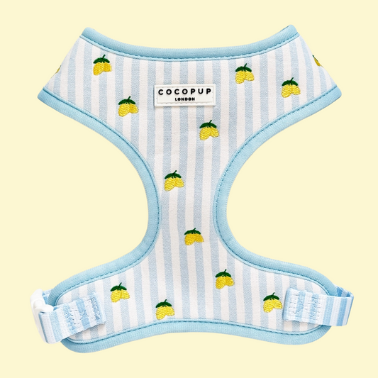 Harnas Living La Vida Lemon - Cocopup London