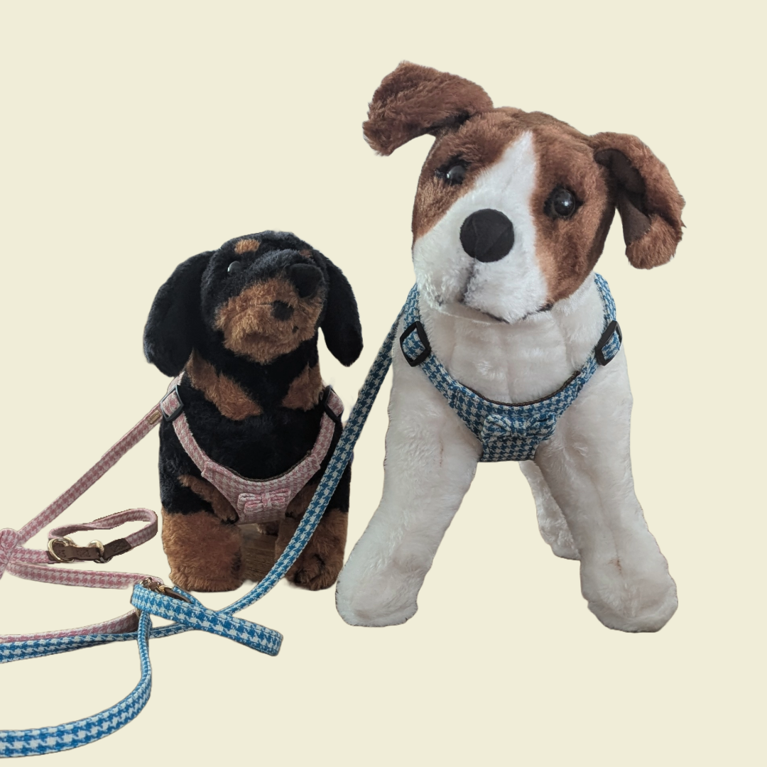 Pepita Harnas - Barcelona Dogs