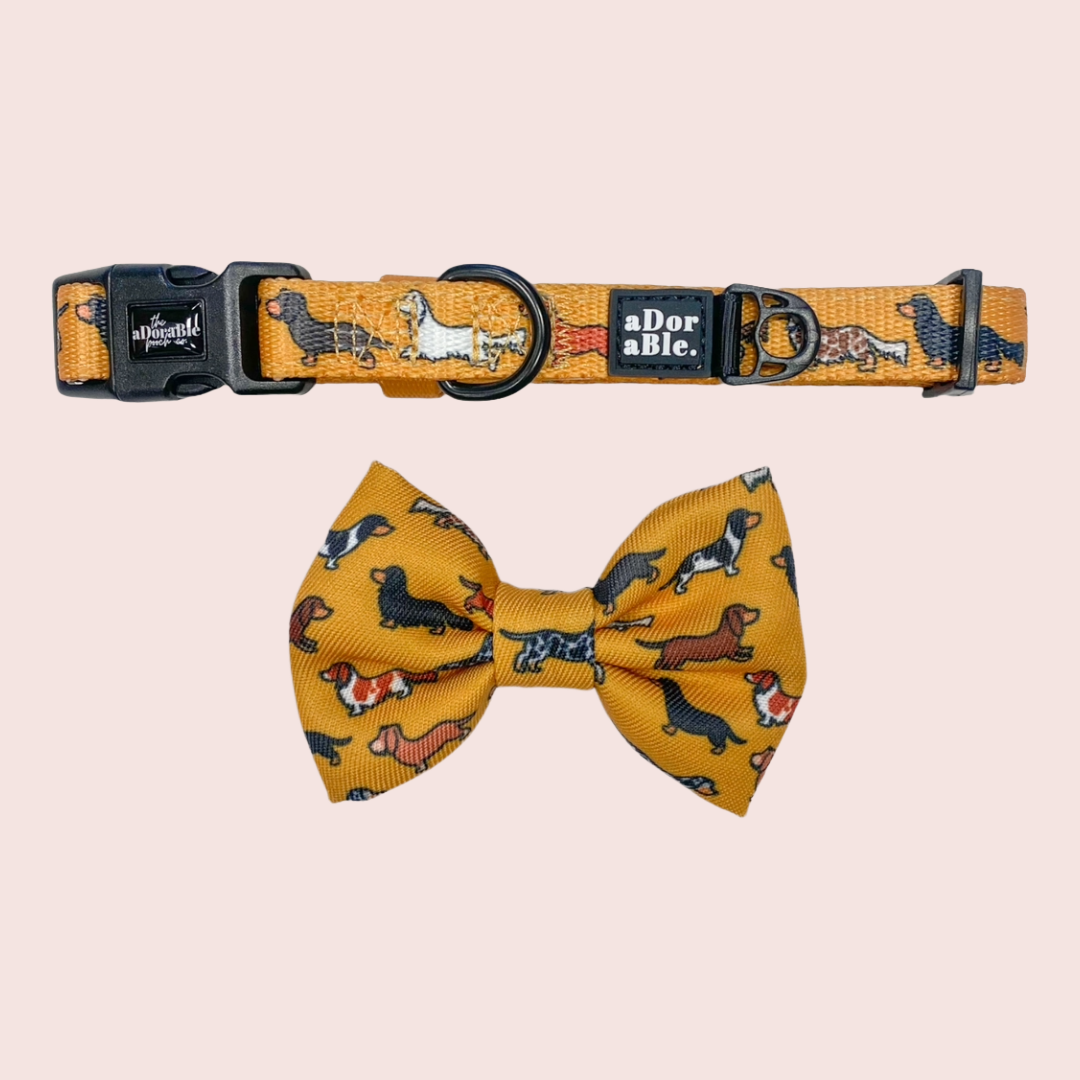 Dashing Dachshunds Strik - The aDoraBle Pooch Company