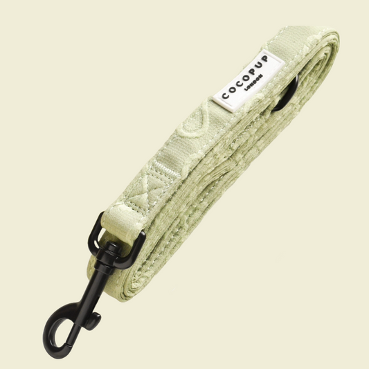Sage Heart Leiband - Cocopup London