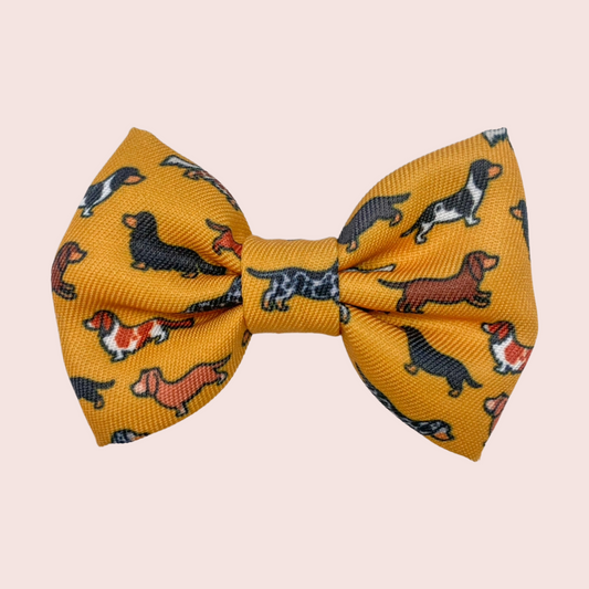 Dashing Dachshunds Strik - The aDoraBle Pooch Company