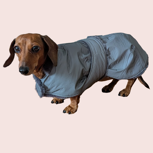 Tecky Jacket Reflective WINTER - Fifi's Dog Fashion