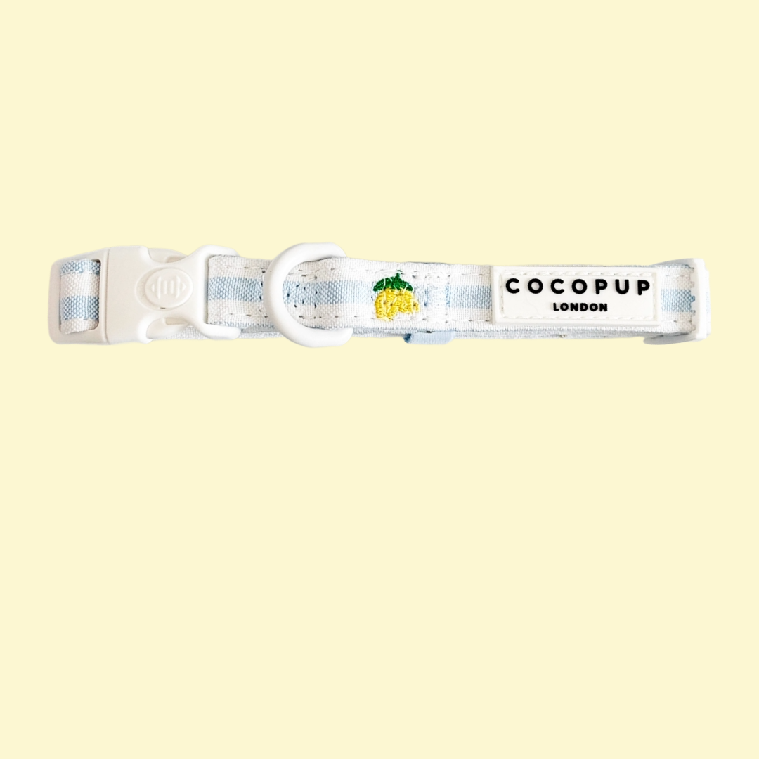 Halsband Living La Vida Lemon - Cocopup London