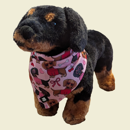 Teckelicious Cooling Bandana - Dogs Are The New Kids