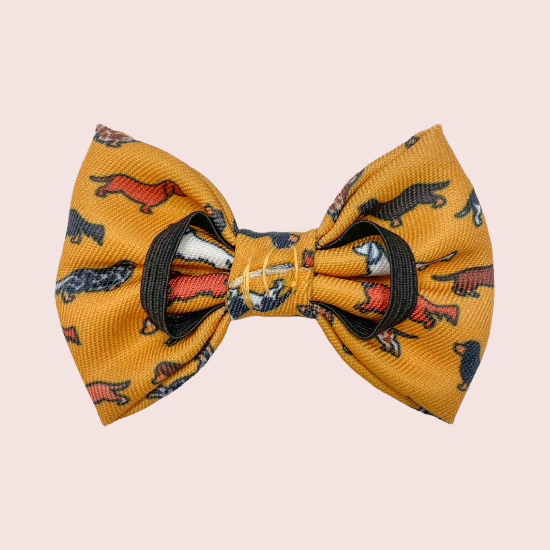 Dashing Dachshunds Strik - The aDoraBle Pooch Company