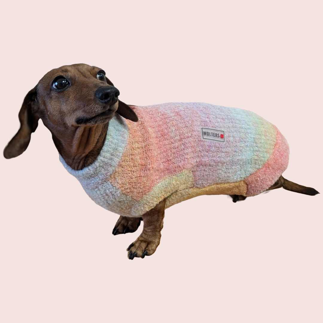 Gebreide Zonsondergang Trui - Wolters