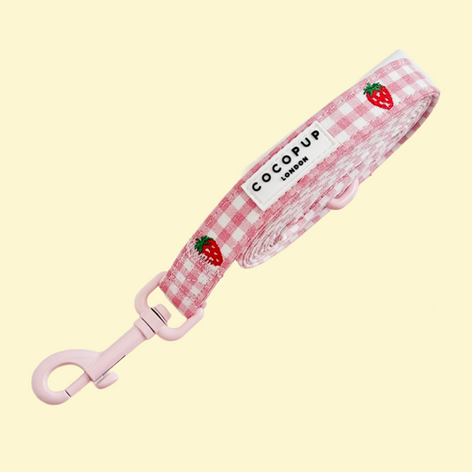 Leiband Strawberry Picnic Pup - Cocopup London