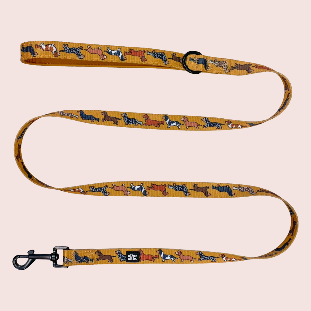 Dashing Dachshunds Leiband - The aDoraBle Pooch Company