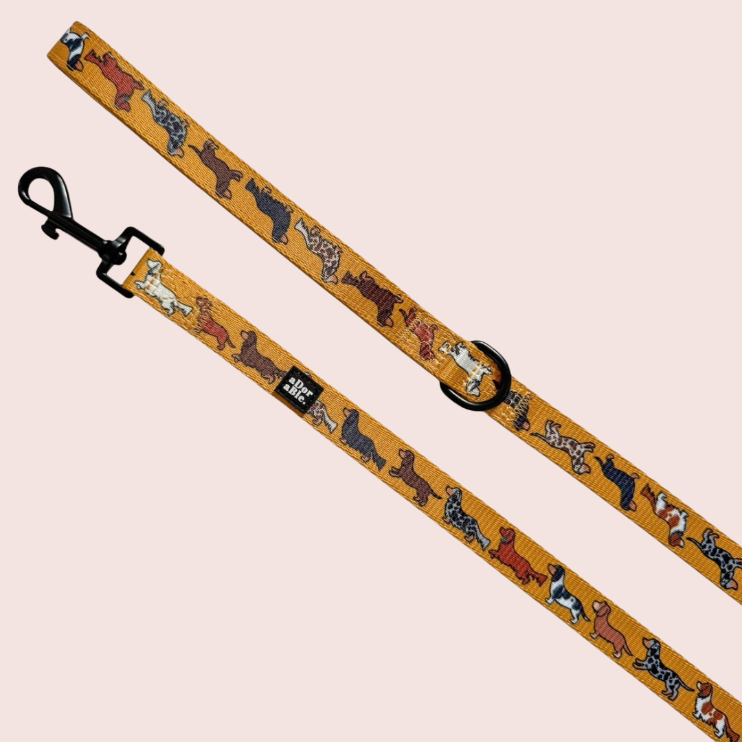Dashing Dachshunds Leiband - The aDoraBle Pooch Company