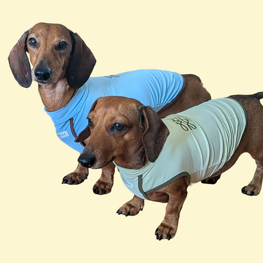 Verkoelend en zonwerend T-shirt - ZumiZumi