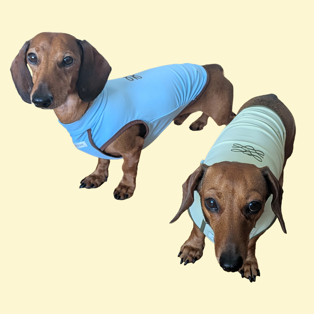 Verkoelend en zonwerend T-shirt - ZumiZumi