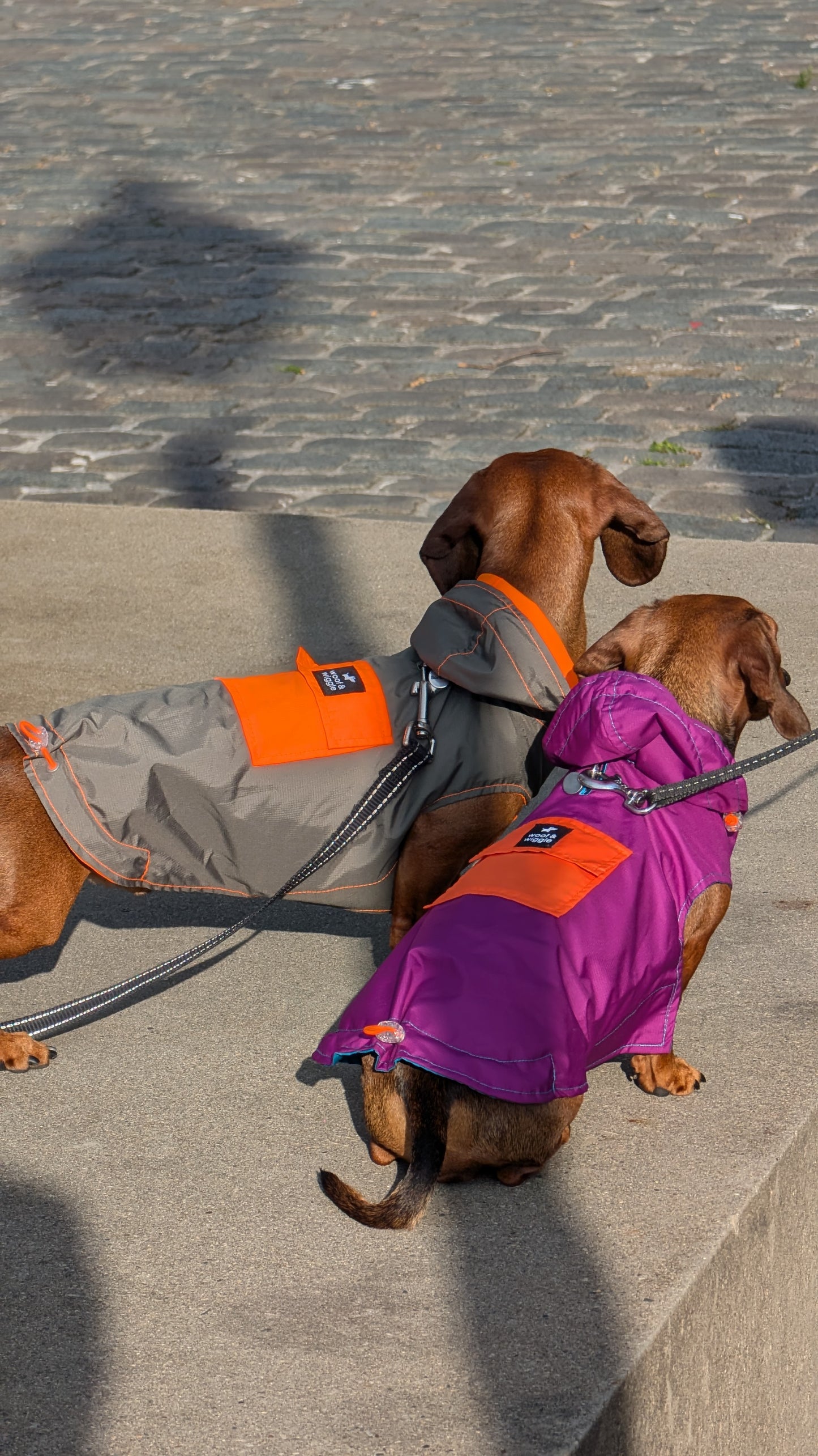 Hondenregenjas „anorak” Woof & Wiggle