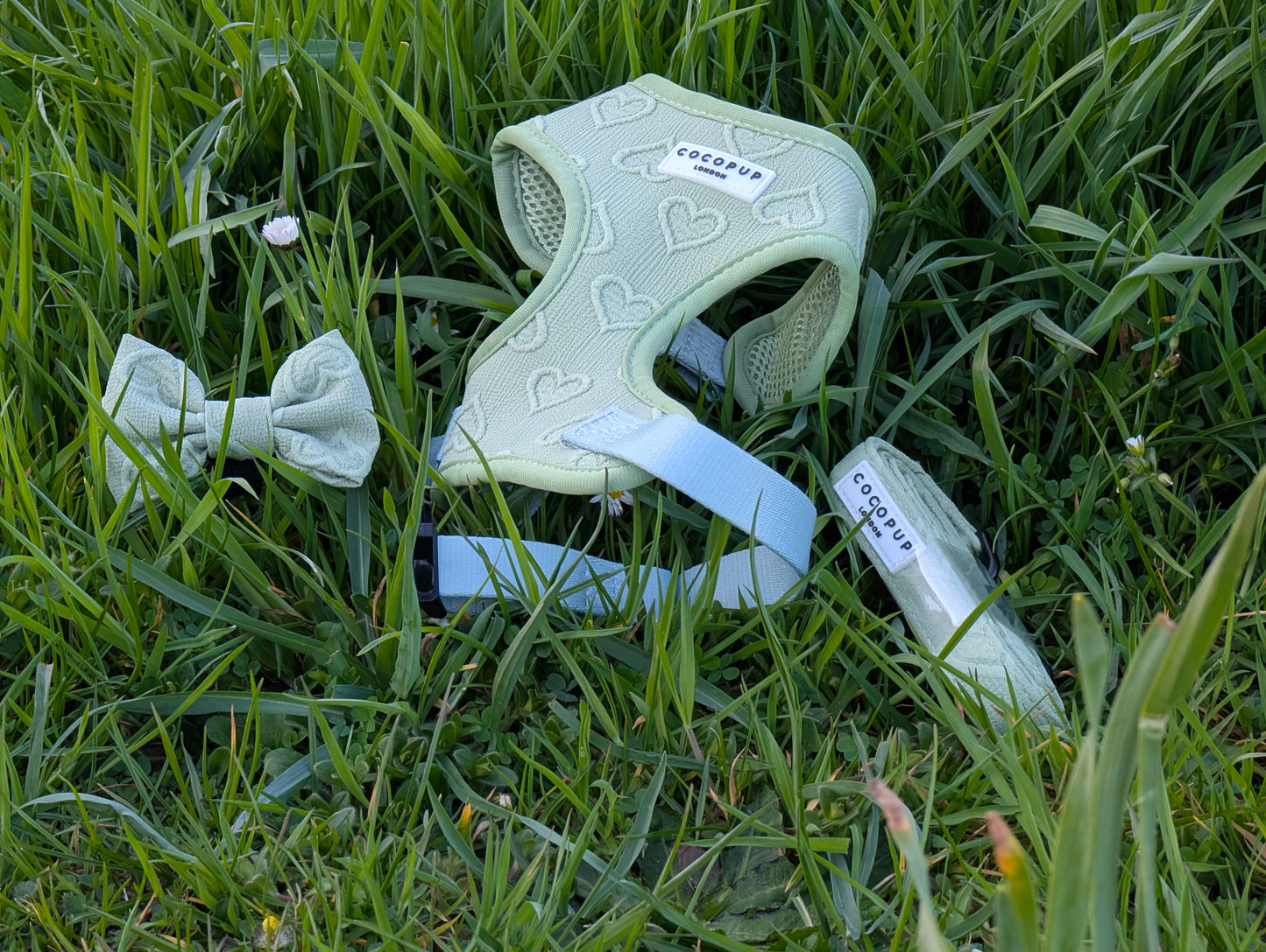 Sage Heart Leiband - Cocopup London