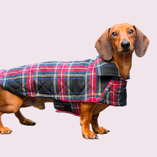 Tartan winter jas