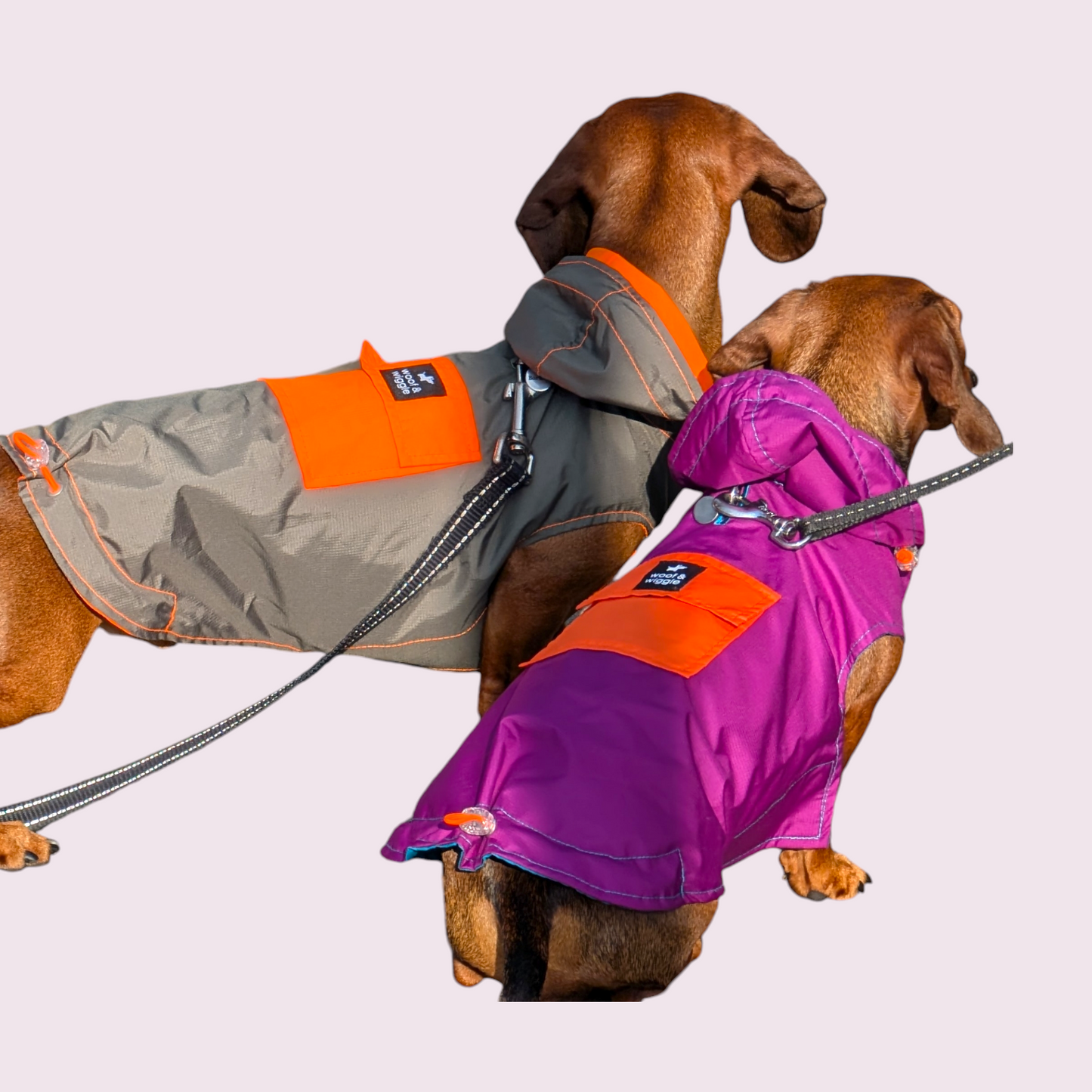 Hondenregenjas „anorak” Woof & Wiggle
