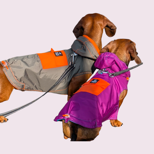 Hondenregenjas „anorak” Woof & Wiggle