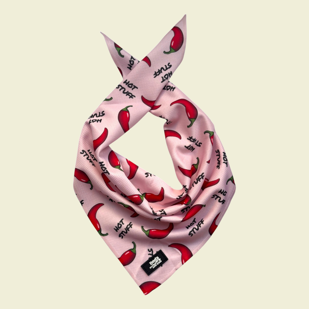 Hot Stuff Cooling Bandana - Dogs Are The New Kids