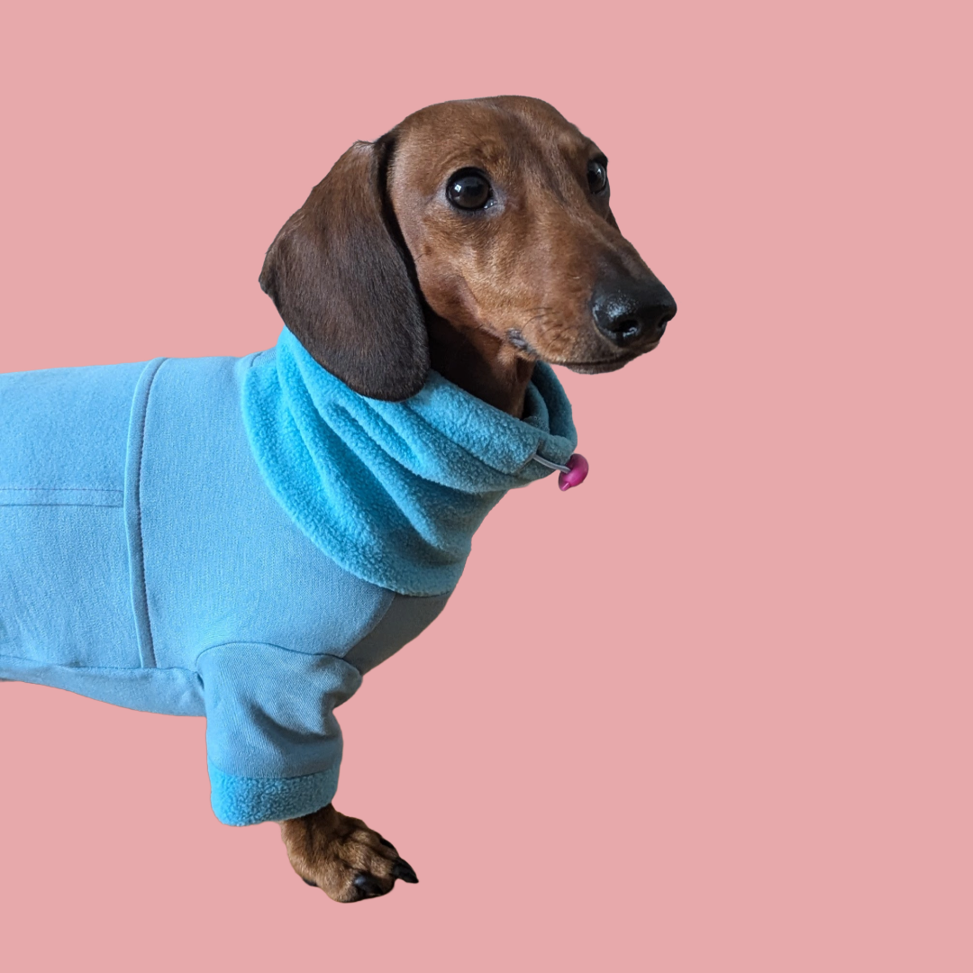 Coltrui - Likapaws