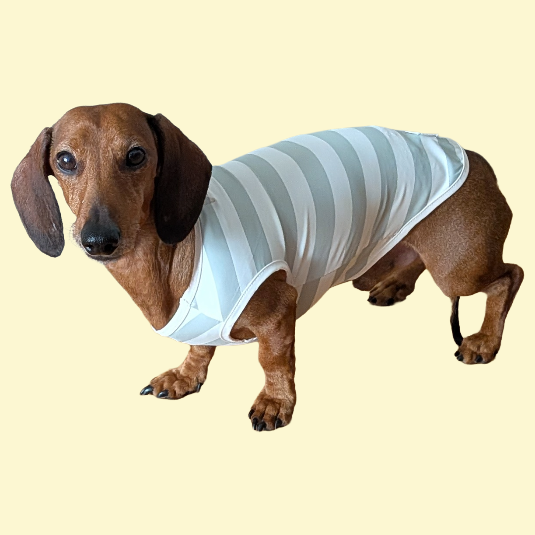 Matcha Stripe koelvest - By teddy