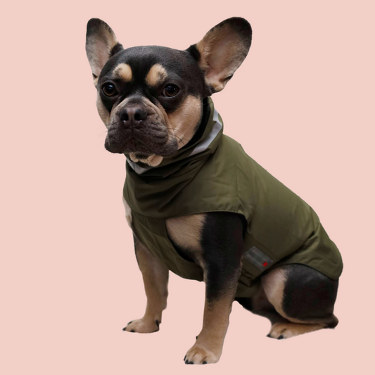 Outdoor Jas Wijde Borst - Wolters