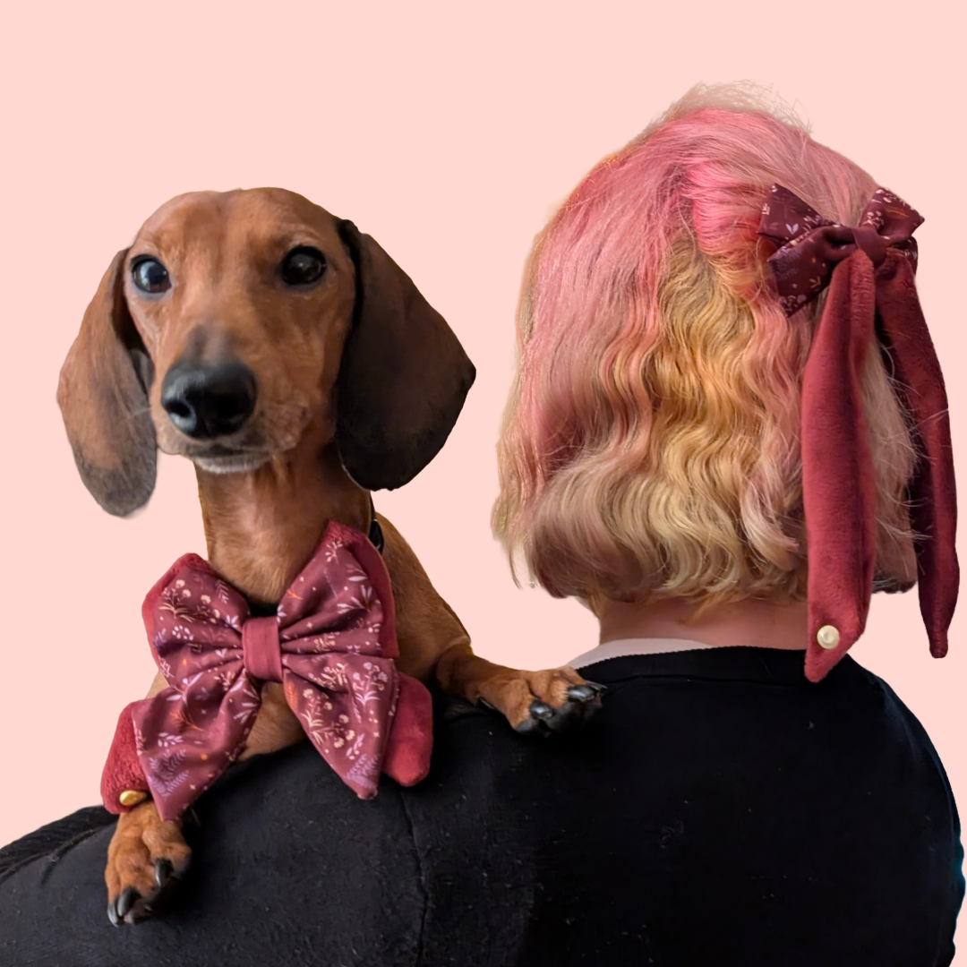 SET Vlinder Strik Hond + Haarclip Strik Voor Jou - Wyld Cub