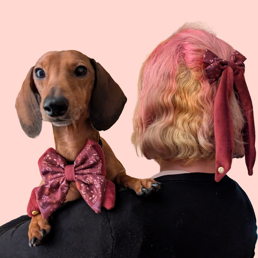 SET Vlinder Strik Hond + Haarclip Strik Voor Jou - Wyld Cub